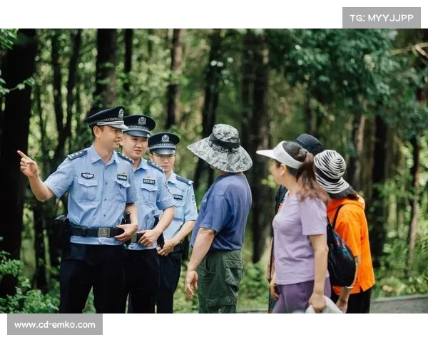 违规行为对社会秩序的影响及其治理对策分析 违规行为对社会秩序的影响及其治理对策分析