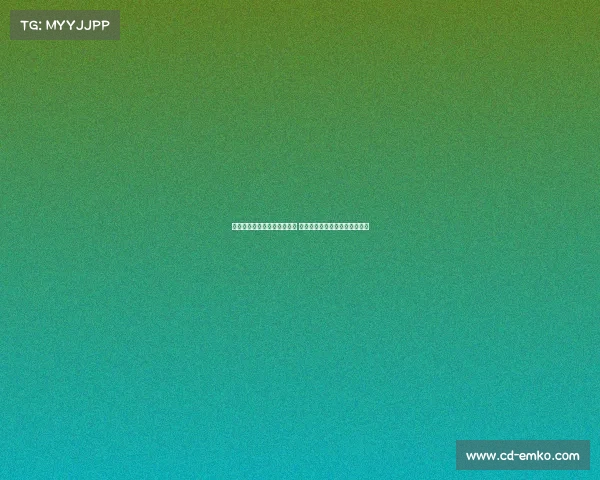 美国轮椅篮球队夺冠再创历史 彰显团队精神与坚持不懈的力量 美国轮椅篮球队夺冠再创历史 彰显团队精神与坚持不懈的力量