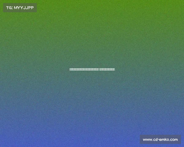 西班牙足协投入千万欧元推动女足基层发展 助力未来足球人才培养 西班牙足协投入千万欧元推动女足基层发展 助力未来足球人才培养