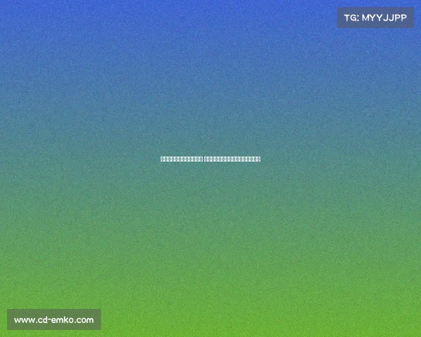 希勒称谢什科与哈兰德相似 深信他在英超能轻松适应并大放异彩