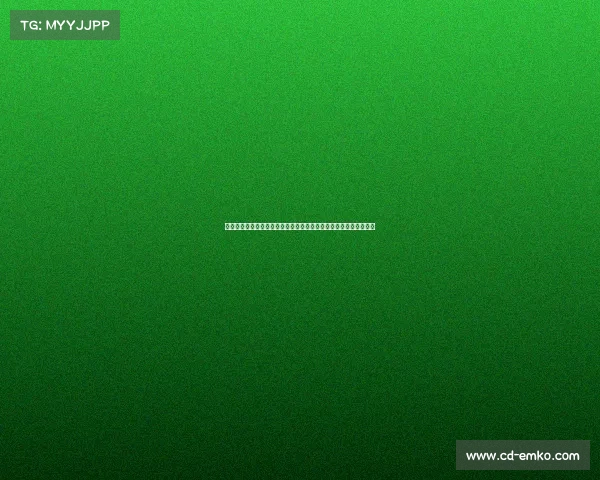 梅斯城市发展与历史文化的融合探析及其在现代化进程中的独特地位