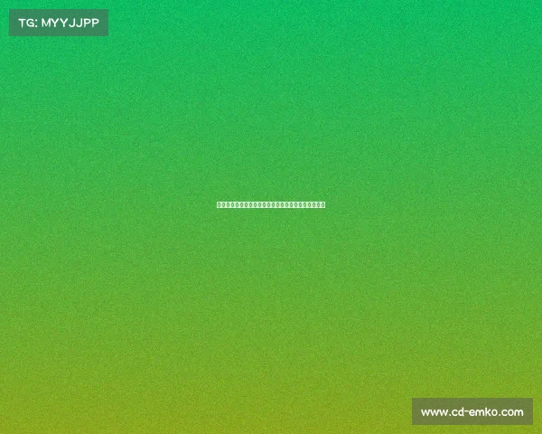 西甲女足：挑战与机遇并存，创新发展助力联赛新篇章