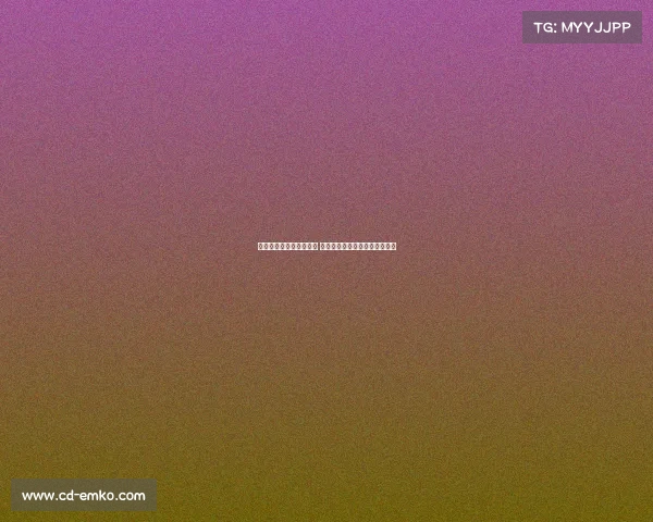 德甲新星崭露头角引关注 多队争夺未来足球天才潜力无限