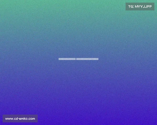 曼联新赛季核心球员表现分析 领军人物与新星崛起助力球队重回巅峰